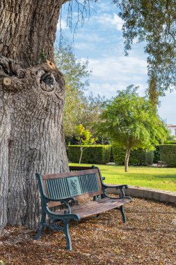 Şehir Park ağaç altında tezgah