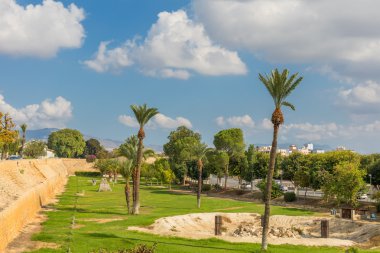 Palmiye ağaçlı şehir parkı