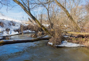 Erken Bahar Orman Nehri