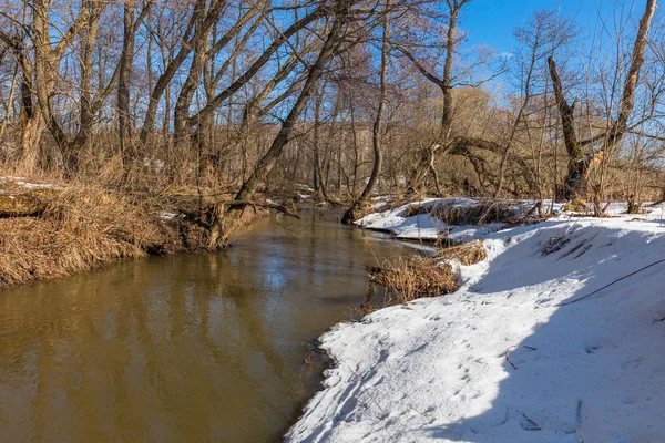 Río del bosque a principios de primavera —  Fotos de Stock