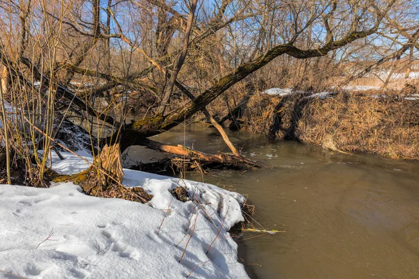 Río del bosque a principios de primavera —  Fotos de Stock