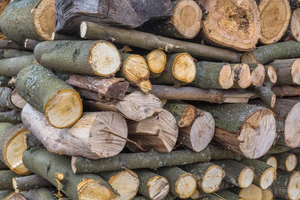 Stack of firewood Royalty Free Stock Photos