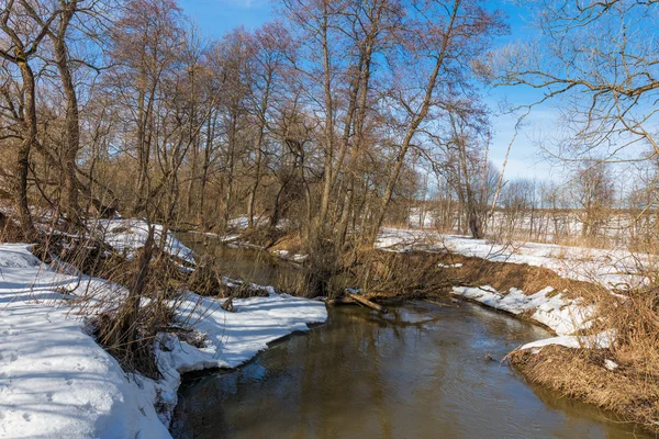 Waldfluss im zeitigen Frühling — Stockfoto