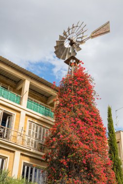 Rüzgar vane, tarihi kent, Lefkoşa, Kıbrıs Caddesi