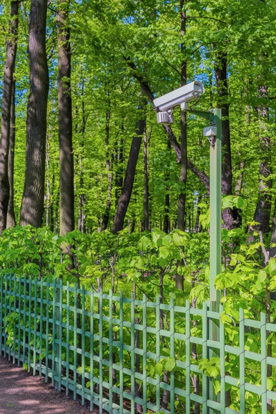 Surveillance camera in green summer park