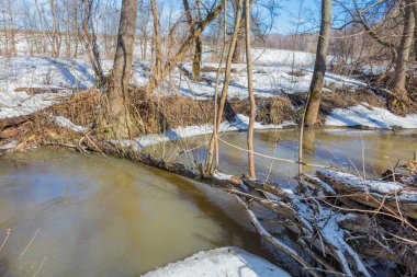 Erken Bahar Orman Nehri