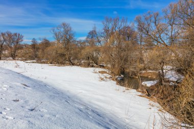 Orman alanı ile manzara