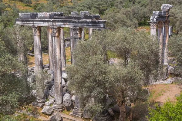 Świątynię Zeusa Lepsinos Euromus Turcja — Zdjęcie stockowe