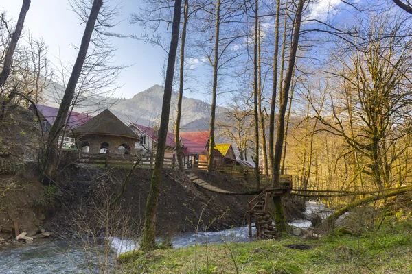 Erdő nyakzuhannyal fahíd — Stock Fotó