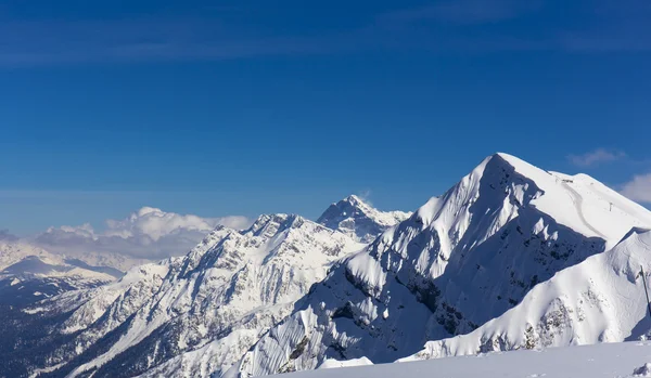 Rosa pik üzerinden sahne Üstten Görünüm