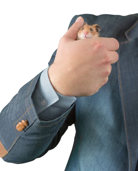 Adam holding hamster kolundaki — Stok fotoğraf