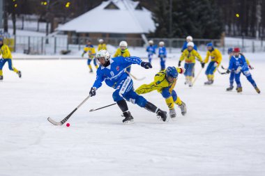 RUSSIA, KRASNOGORSK - 02 Aralık 2018 Moskova bölge bandy şampiyonası. BC Zorky - BC Vympel 2: 9