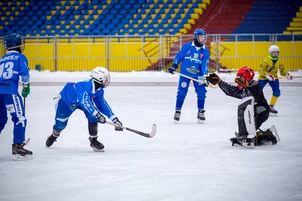 РОССИЯ, КРАСНОГОРСК - 02 ДЕКАБРЯ 2018: Чемпионат Московской области по хоккею с мячом. BC Zorky - BC Vympel 2: 9 — стоковое фото