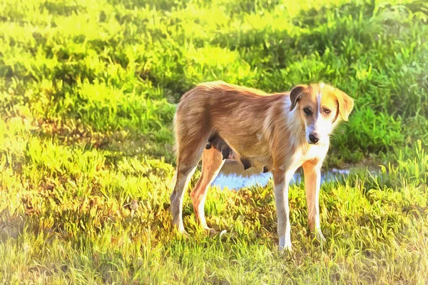 Barevná malba psa na zeleném travnatém pozadí. — Stock fotografie