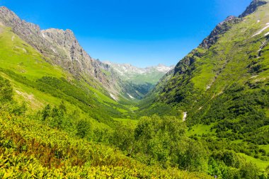 Kafkasya dağlarındaki güzel orman ve dağ manzarası.