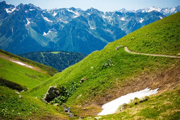 Hermoso bosque y paisaje de montaña en las montañas del Cáucaso. —  Fotos de Stock