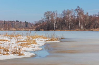 Buz nehri, ağaçlar ve kuru otlarla güzel kış manzarası.