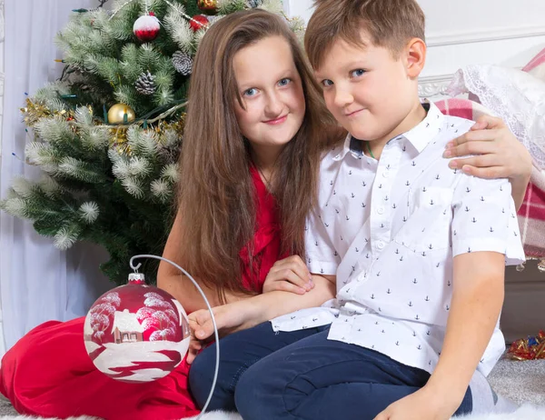 Bonito irmão e irmã em Christhmas abeto fundo estúdio retrato. — Fotografia de Stock