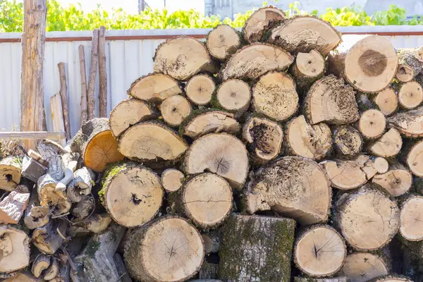 A stack of firewood summer natural view. — Stock Image A stack of firewood summer natural view. Stock Photo