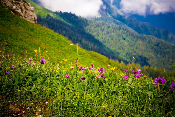 Schöne Berglandschaft am Kaukasus mit Wolken und blauem Himmel — Stockfoto