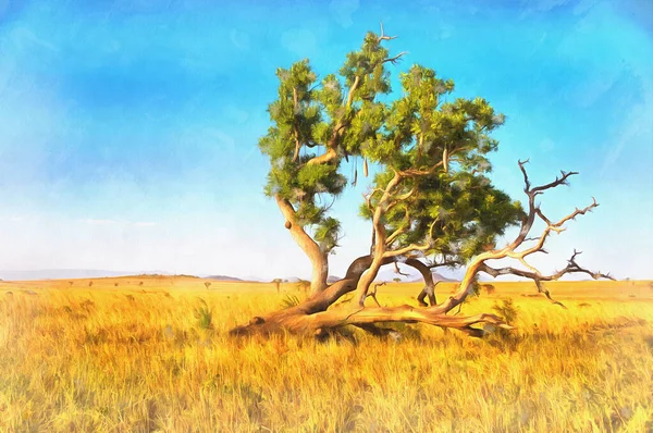 Δέντρο λουκάνικων πολύχρωμη ζωγραφική, Kigelia, Kigelia africana, Kidepo Valley National Park, Ουγκάντα. — Φωτογραφία Αρχείου