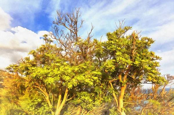 Drzewa w sezonie letnim kolorowe malarstwo — Zdjęcie stockowe