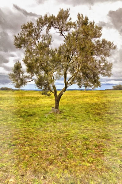 Árboles en la temporada de verano pintura colorida — Foto de Stock