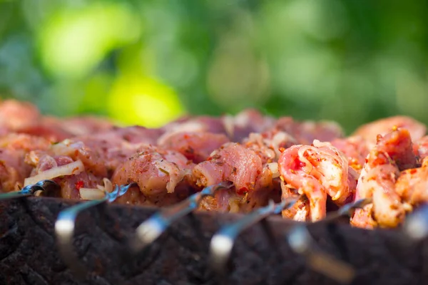 Προβολή από κοντά ψημένου κρέατος που παρασκευάζεται στο μπάρμπεκιου. — Φωτογραφία Αρχείου