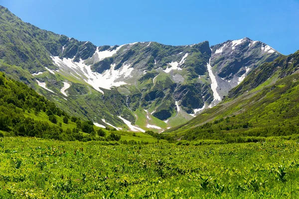 Hermoso paisaje de montaña con bosque en las montañas del Cáucaso. —  Fotos de Stock