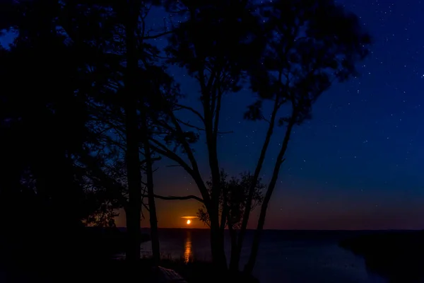 Hermosa escena nocturna con luz de luna sobre el agua — Foto de Stock