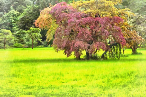 Park manzarası renkli resim — Stok fotoğraf