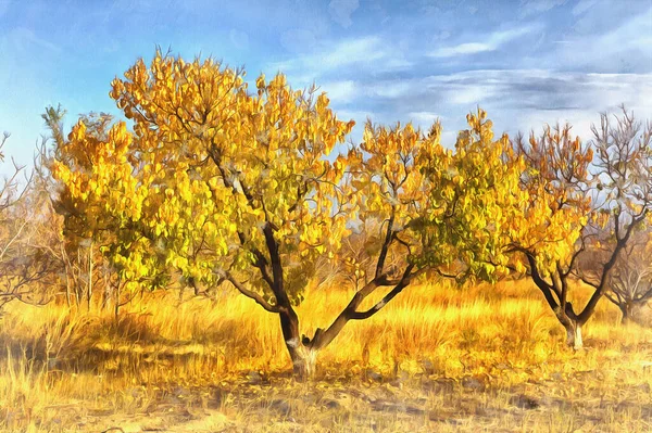 Árboles en el valle de Ararat en Sardarapat pintura colorida — Foto de Stock