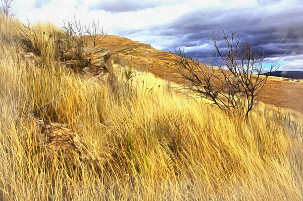 Prachtige heuvels met geel gras kleurrijke schilderij — Stockfoto