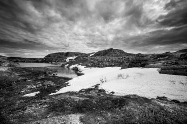 Barents sahil şeridinde güzel kutup yaz manzarası.