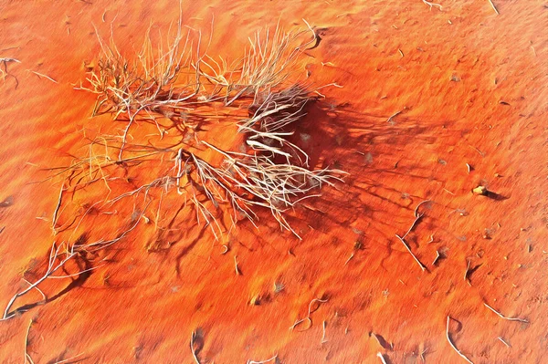 Suchá tráva v poušti Wadi Rum barevný obraz vypadá jako obrázek — Stock fotografie