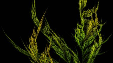 Yaratıcı tasarım için soyut fraktal illüstrasyon çim süslemesi gibi görünüyor.