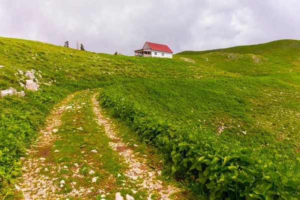 Paisaje de montaña en las montañas del Cáucaso con pista de carretera —  Fotos de Stock