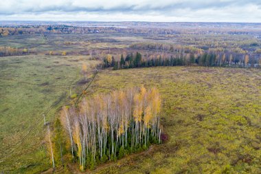 Tarlalar ekilmiş tarlalar üzerinde uçuyorlar.