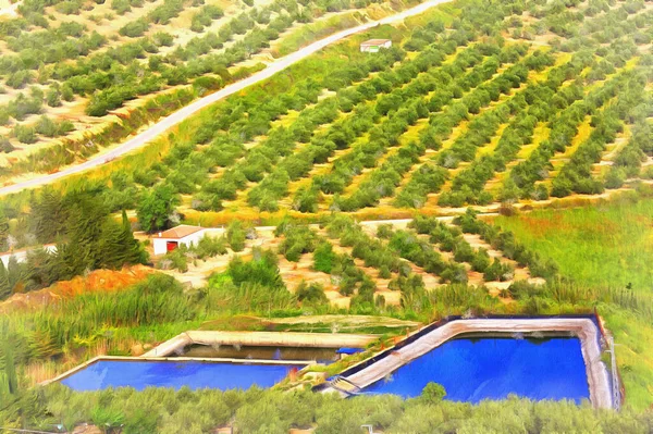 Landscape with olive groves colorful painting looks like picture — Stock Photo, Image