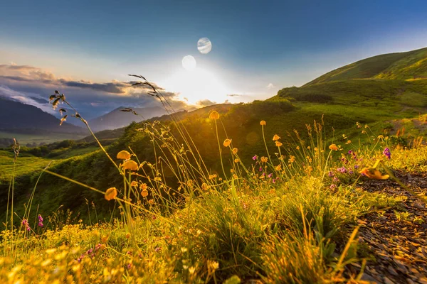 Bela paisagem montanhosa nas montanhas do Cáucaso com grama e pôr do sol. — Fotografia de Stock