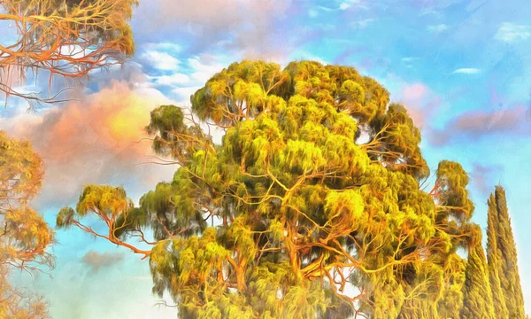 Korona drzewa eukaliptusowego na naturalnym tle — Zdjęcie stockowe