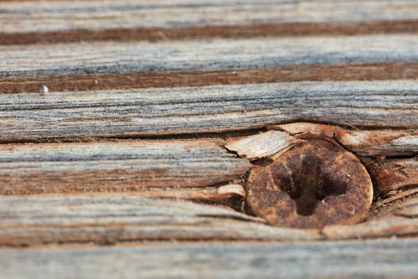 Makrofotografia naturalnej powierzchni drewnianej widok z bliska. — Zdjęcie stockowe