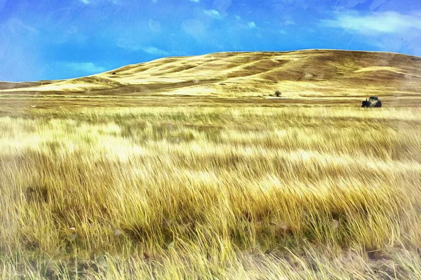 Beau paysage avec herbe jaune sèche peinture colorée ressemble à l'image, Géorgie — Photo