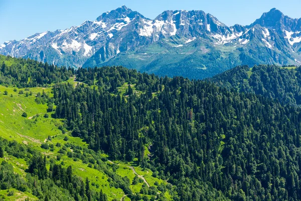 Hermoso paisaje de montaña con bosque en las montañas del Cáucaso. —  Fotos de Stock