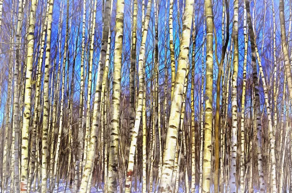Huş ağacı ormanı güneşli kış gününde renkli resim gibi görünüyor. — Stok fotoğraf