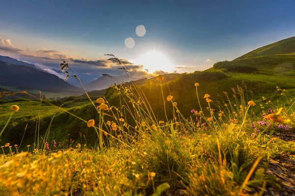 Beautiful mountain landscape at Caucasus mountains with grass and sunset sun. — Stock Photo, Image