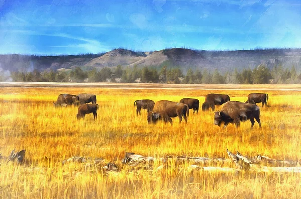 美国黄石公园的美洲野牛彩绘的画看起来就像一幅画. — 图库照片