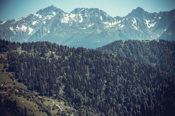 Bela paisagem montanhosa com floresta nas montanhas do Cáucaso — Fotografia de Stock