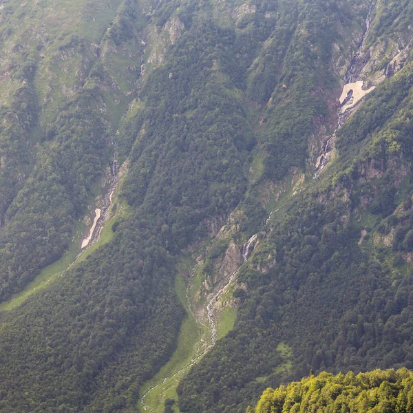 Hermoso paisaje de bosque de montaña en las montañas del Cáucaso. —  Fotos de Stock