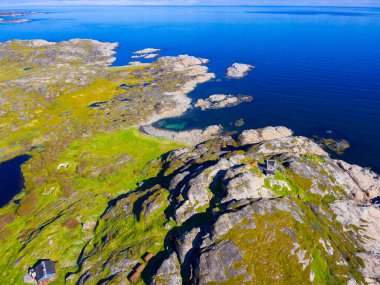 Barents sahil şeridinde güzel kutup yaz manzarası
